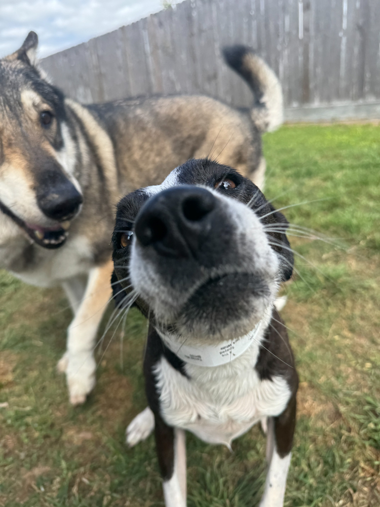 Mostly just her nose