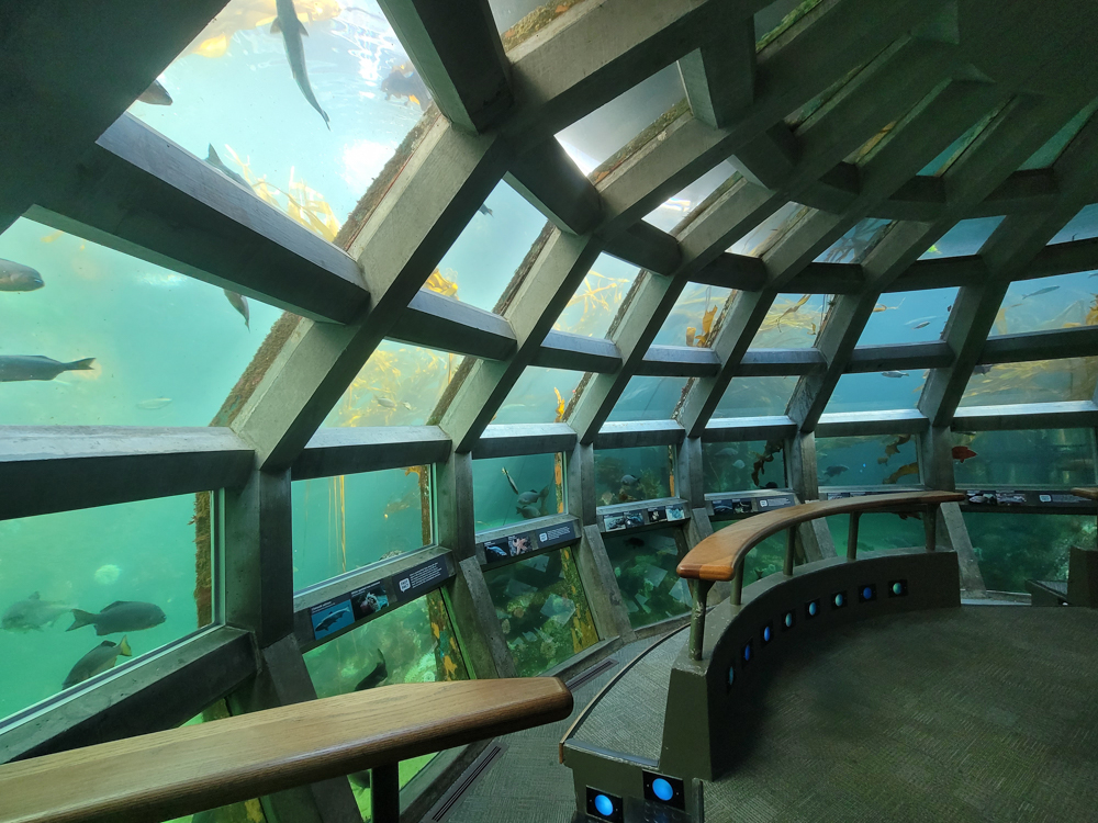 Underwater dome