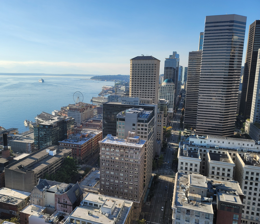 Overlook from Smith Tower