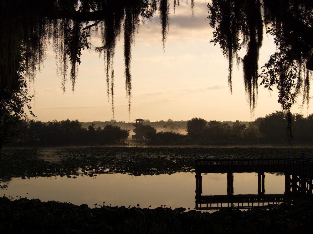 40 Acre Lake at Brazos Bend State Park