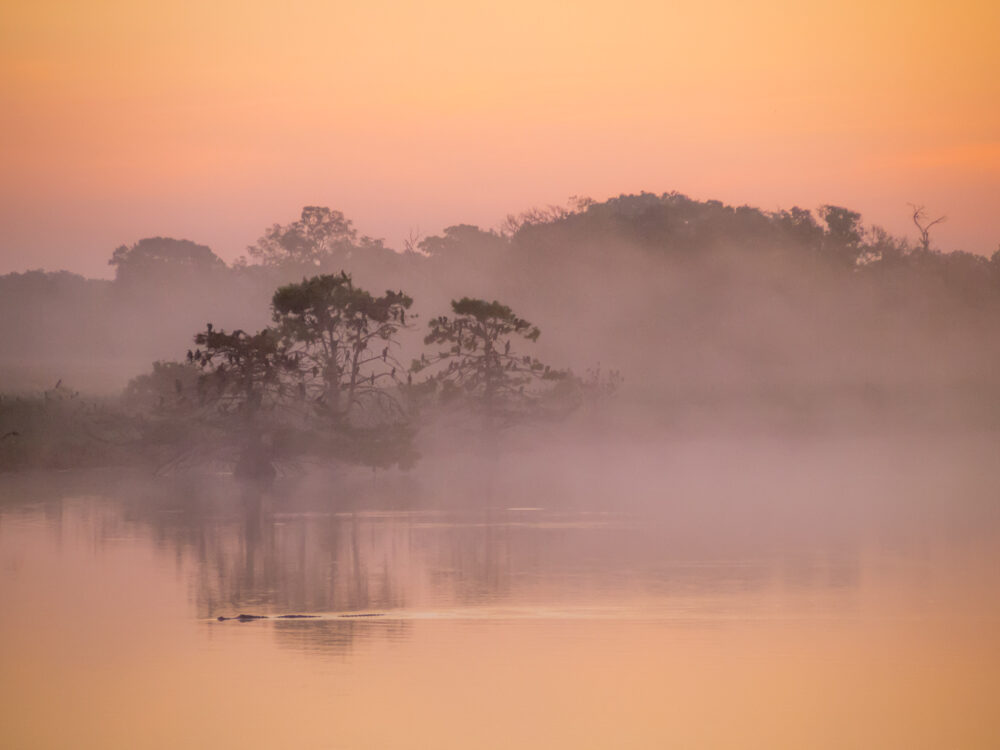 Smither's Lake