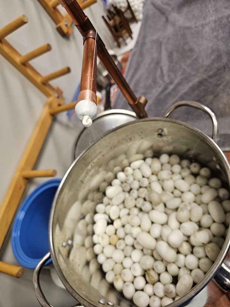 A steel pot half-full of water, with white cocoons completely covering the surface of the water. Extremely fine white filaments come up from the cocoons, through an eye in a copper stand