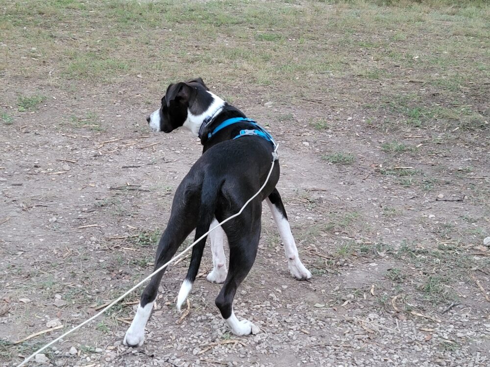 She's watching something intently, poised for action
