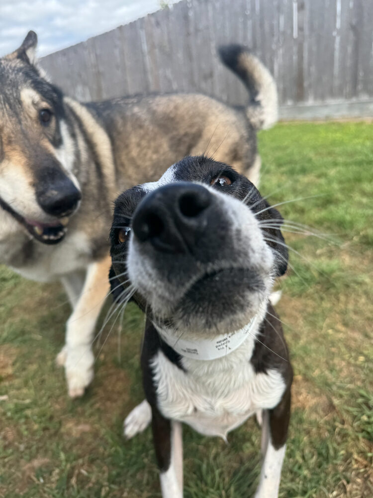 Mostly just her nose